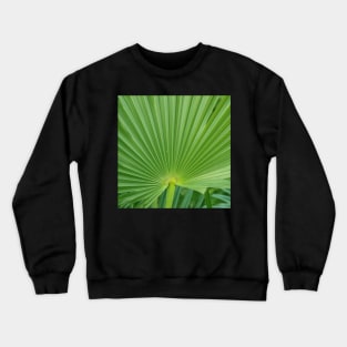 Palm Leaf Crewneck Sweatshirt